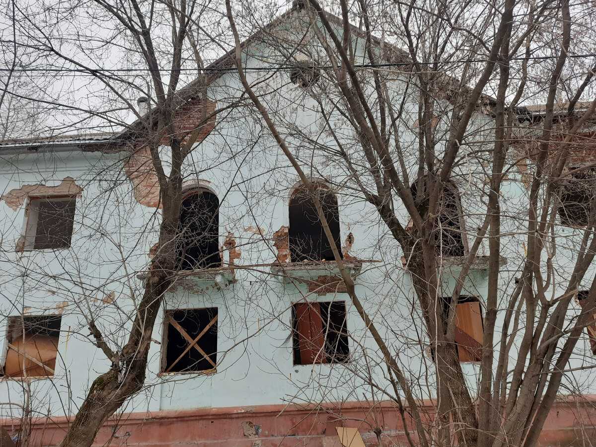 Когда деревья были большими... Возвращение в детство, в поселок Кислотные  дачи | Пенсионерам не сидится | Дзен