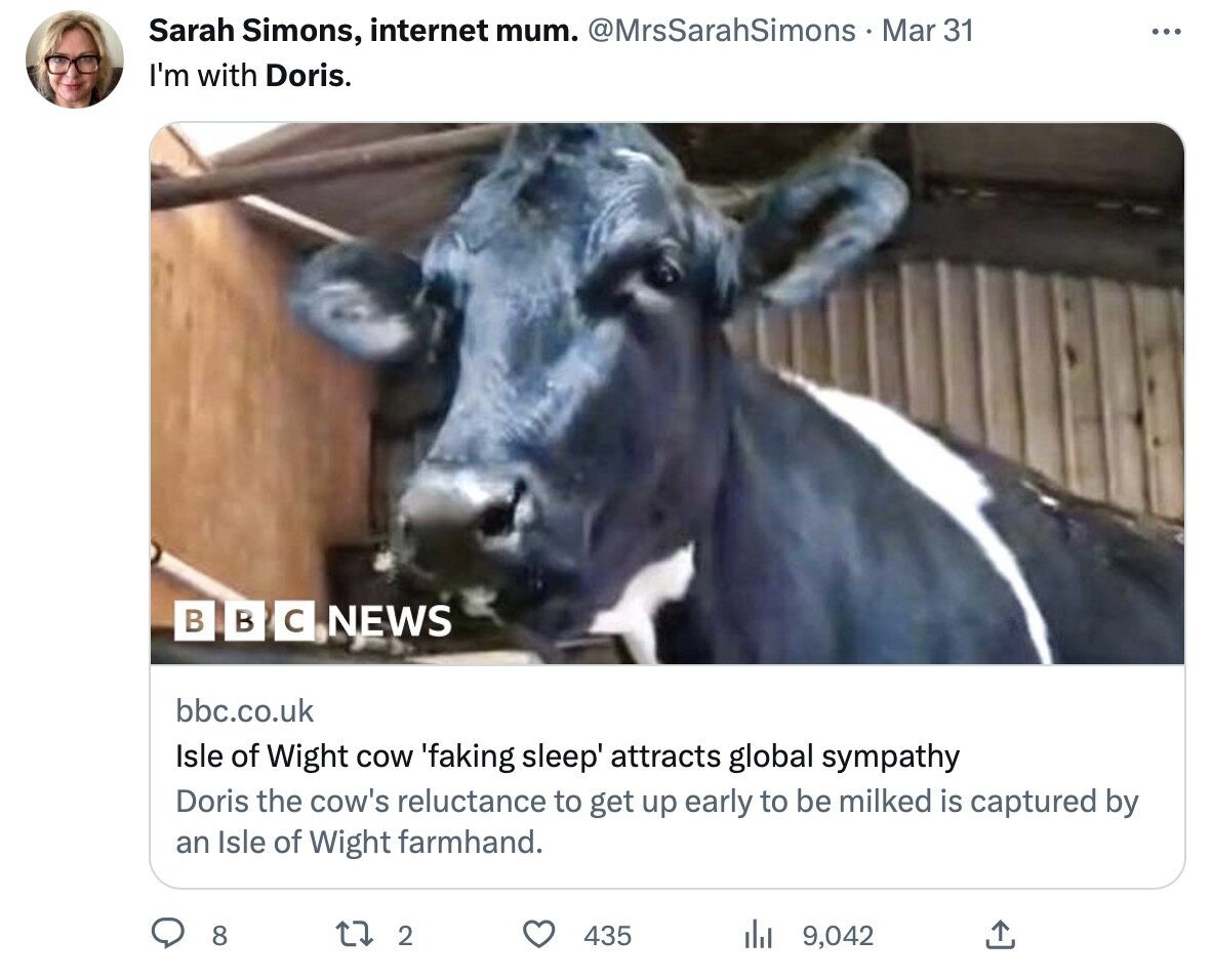    «Я поддерживаю Дорис»Соцсети