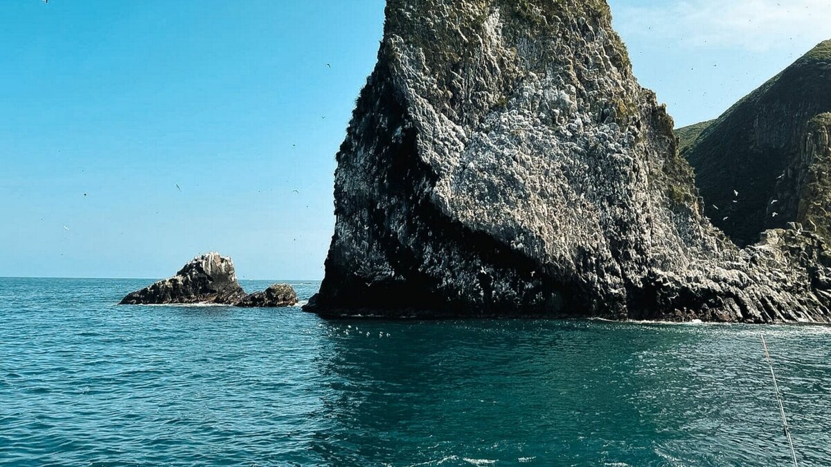     По словам советника главы офиса украинского президента, после возвращения полуострова на нем искоренят все русское и снесут Крымский мост.