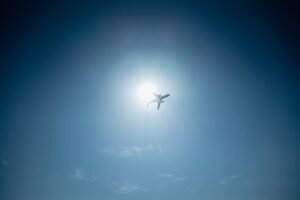    Фото: Single.Earth / unsplash.com Гульназ Астахова