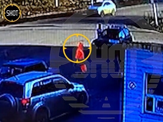     Фото и видео: t.me/shot_shot