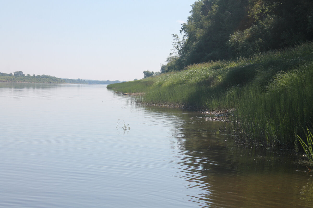 Вот на фото самые змеючные места - под заросшей горой с каменными плитами и родниками.