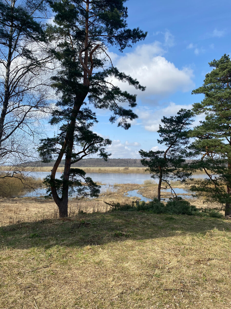 Вид на Неман