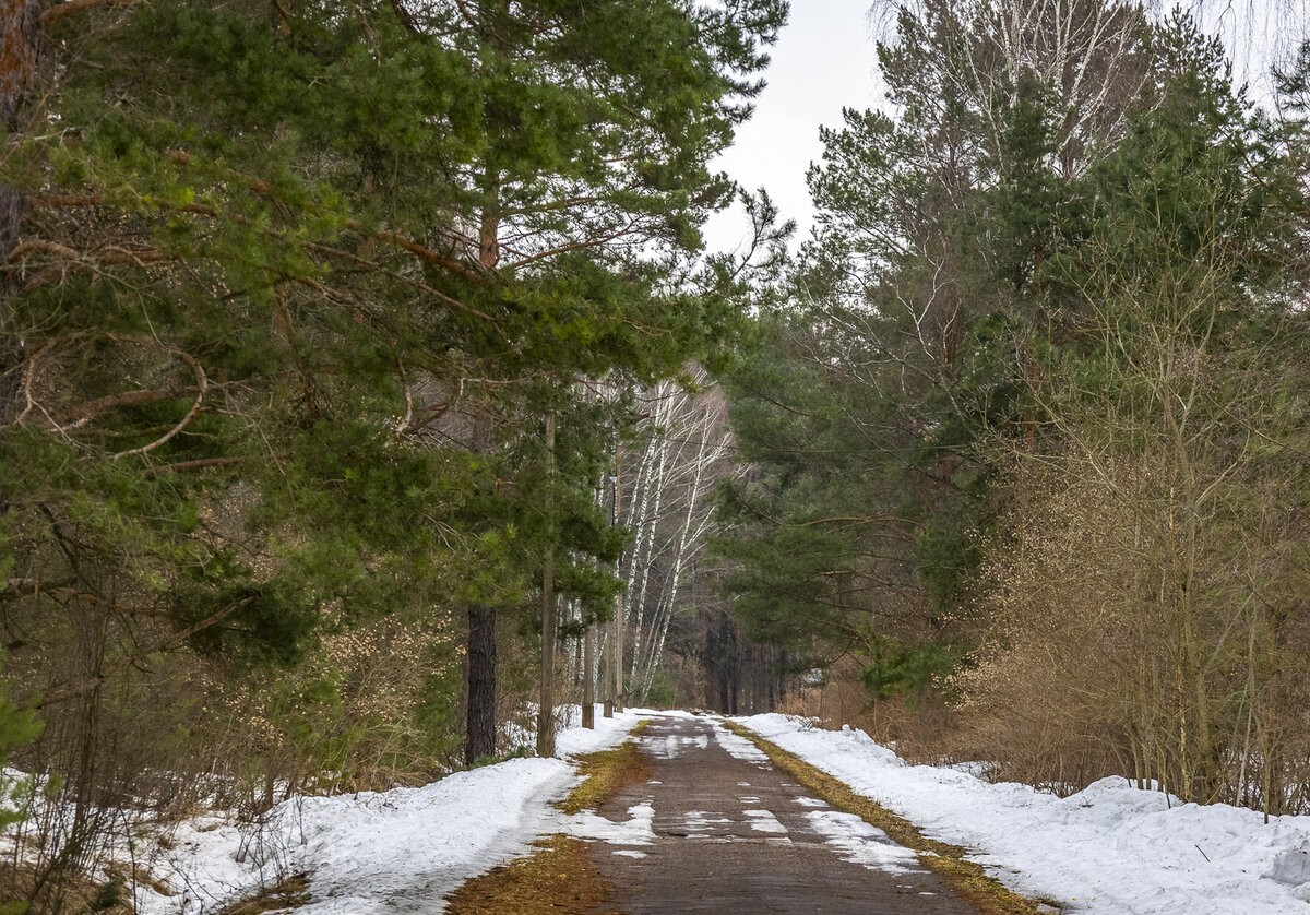    Светлана Парфенова