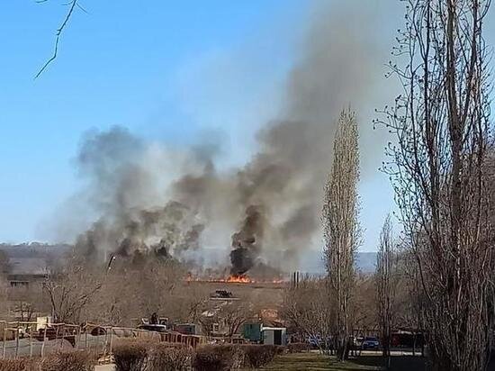     Алексей Воронов