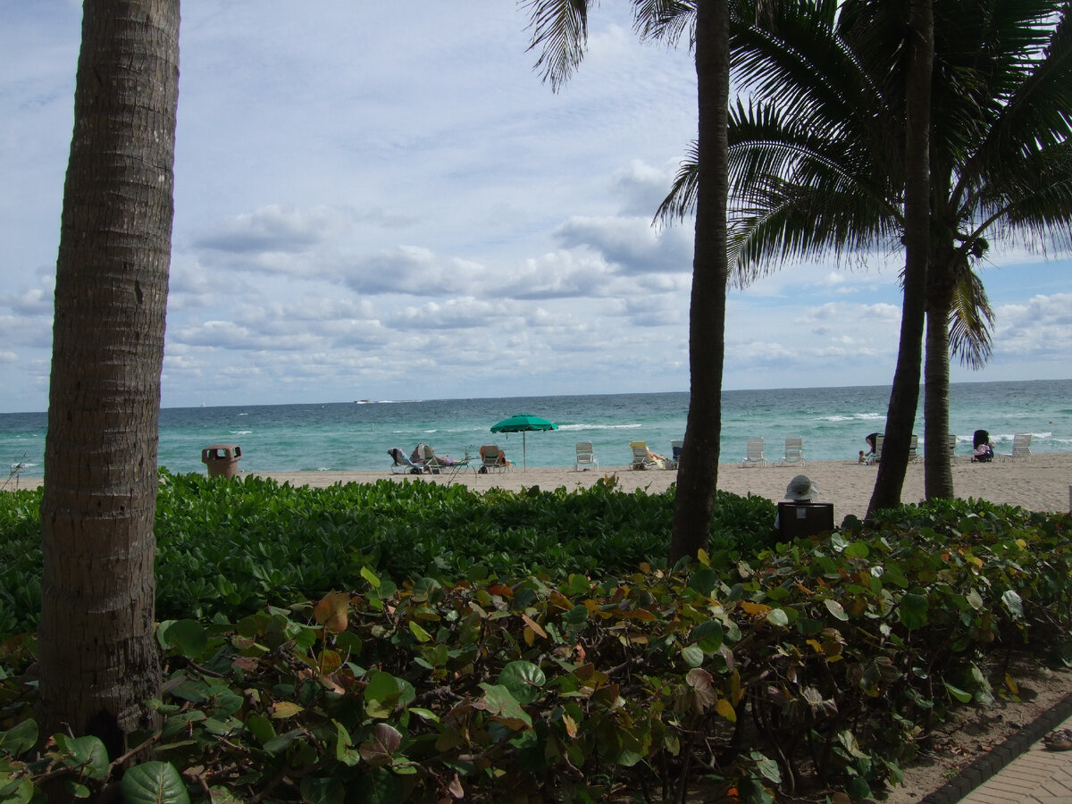 из личного архива