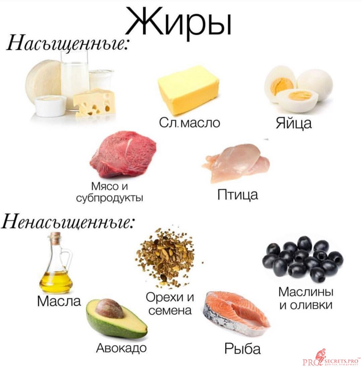 Жиры продукты картинки