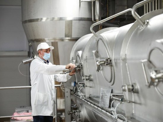     Фото: Северо-Кавказского федерального университета