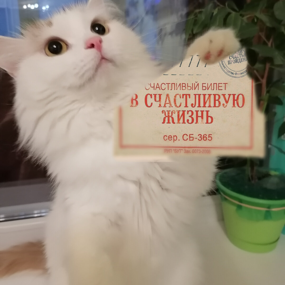 Коллаж автора. Я заслужил этот билет.