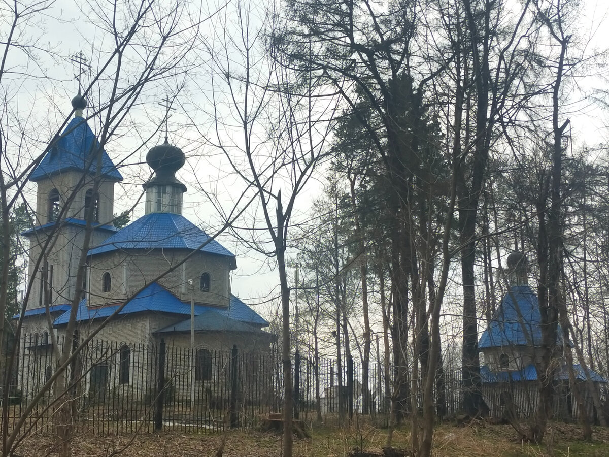 Фото автора.