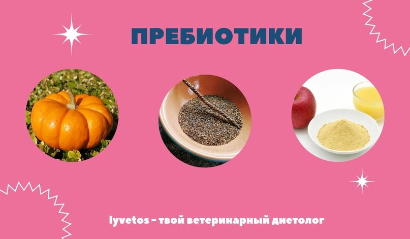 Лучшие про и пребиотики