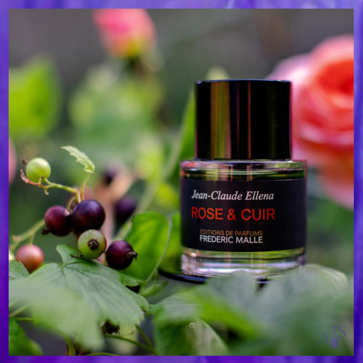 Frederic malle portrait of a lady. Lipstick rose frederic malle. Frederic malle l'eau d'hiver. Фредерик маль духи. Фредерик маль духи.