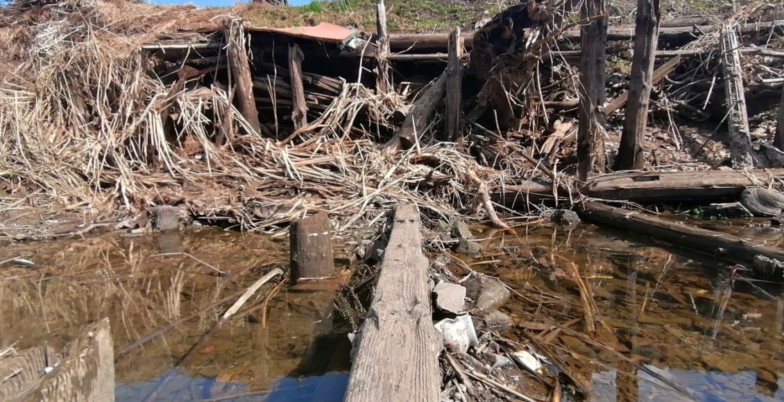    Фото: tmbreport.ru