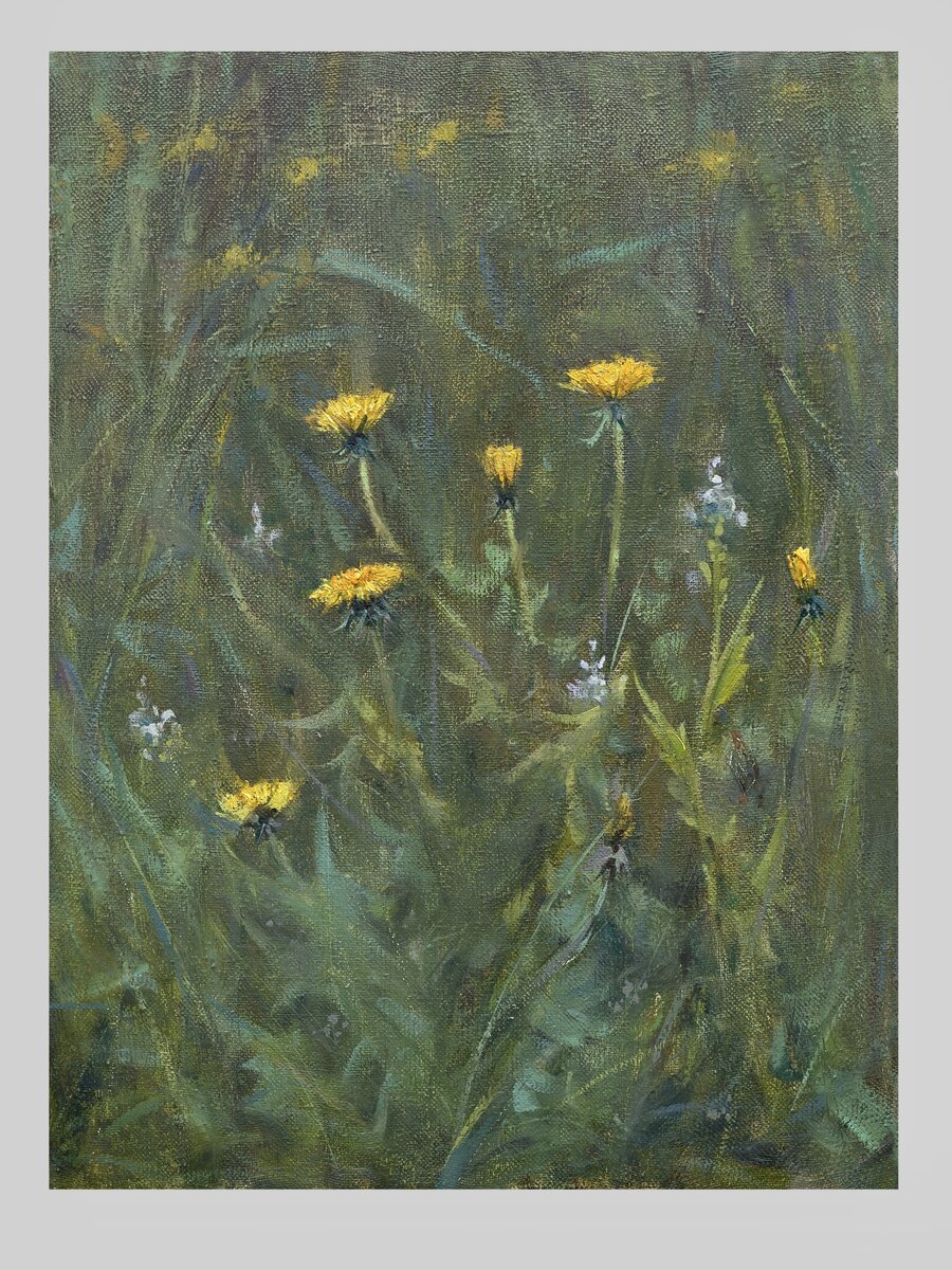 «Одуванчики» 40/30см холст.м 2023 Частная коллекция 