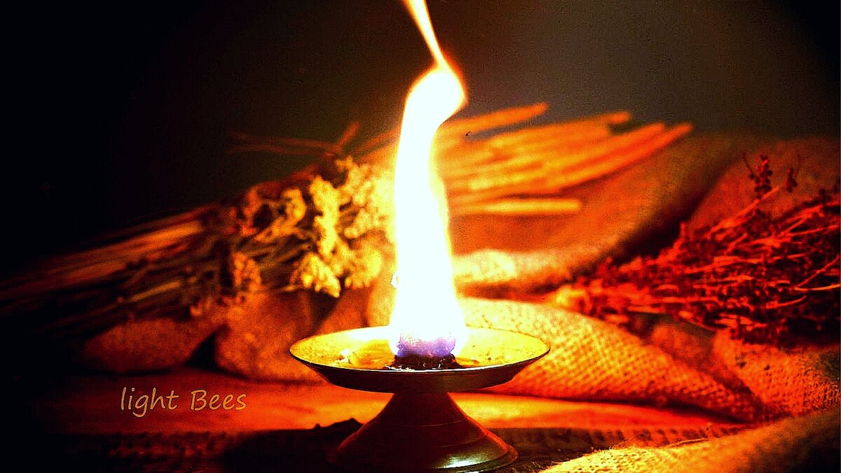 Фото Яндекс