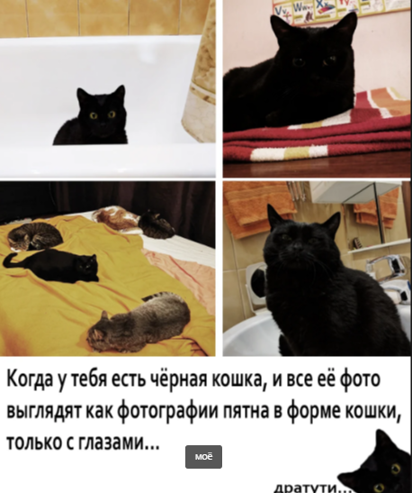 Добавьте описание