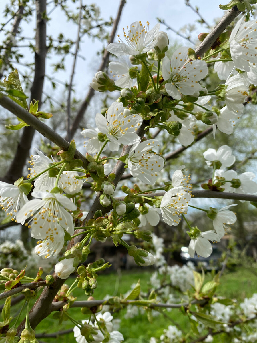 Еще бы знать, что это)