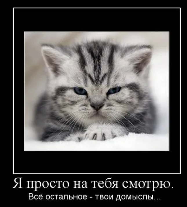 домыслы фото. домыслы это. домыслы это. смысл в домыслах. домыслы цитаты.