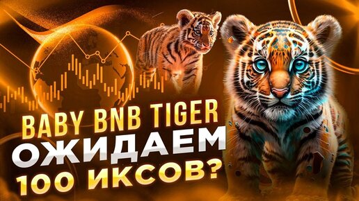 BabyBNBTiger ожидаем 100 иксов?