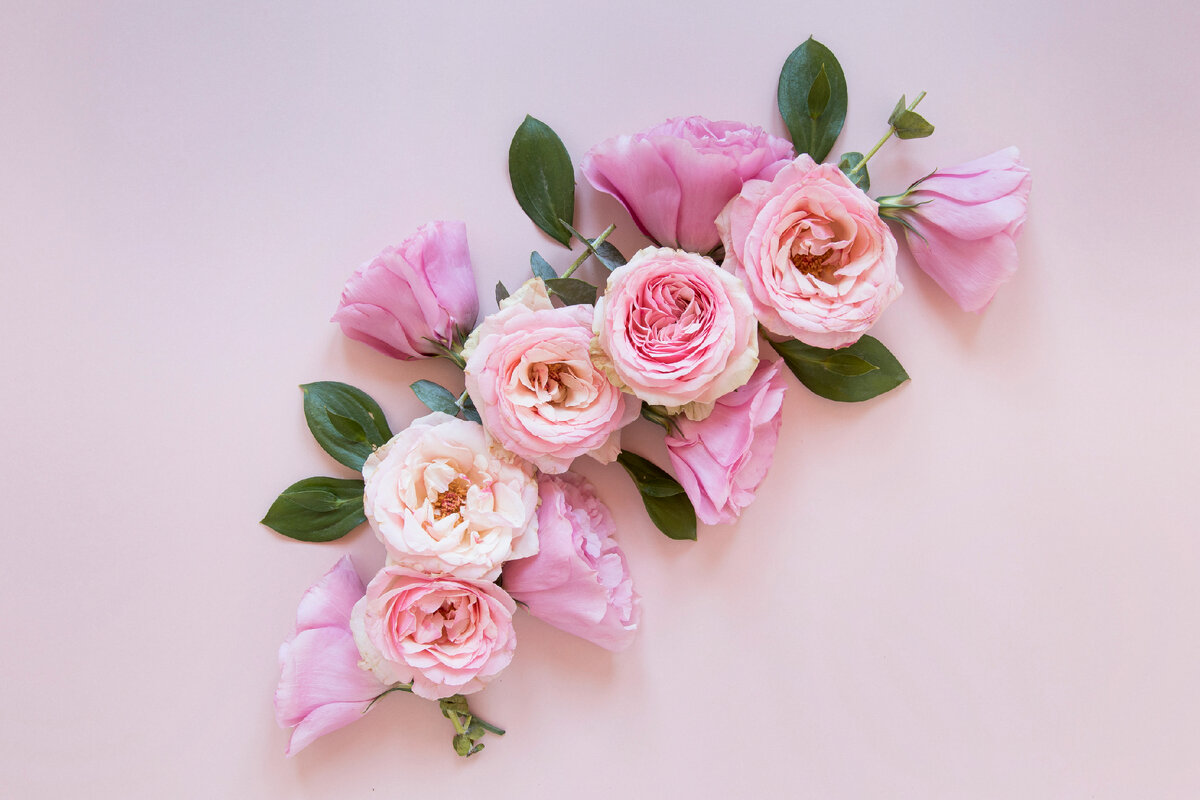 https://ru.freepik.com/free-photo/flat-lay-of-gorgeous-flowers-composition