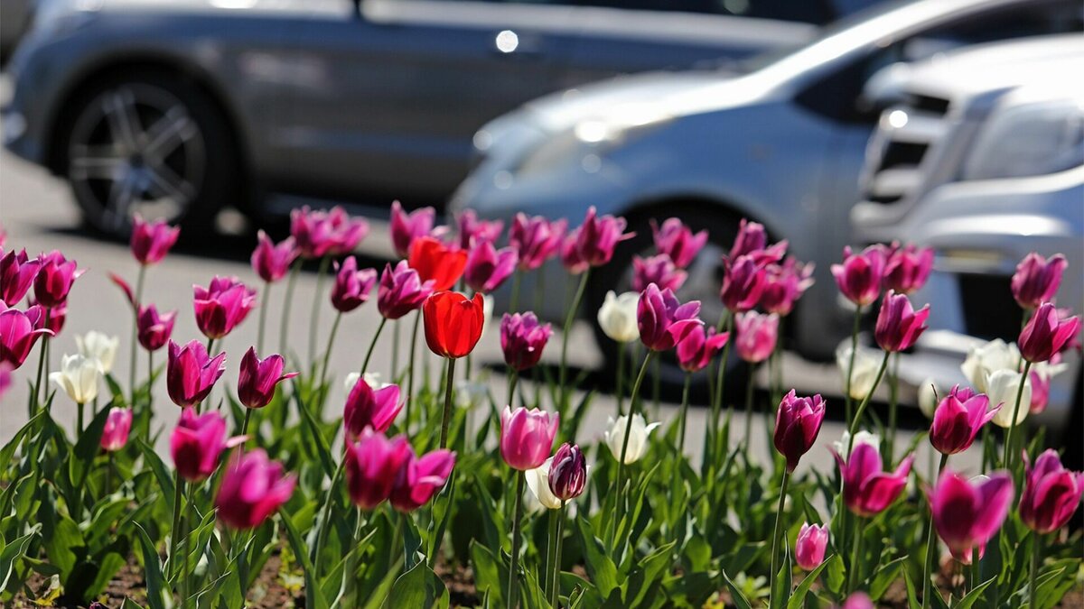     Теплая погода сохранится сегодня в областном центре, правда, день будет пасмурный, сообщают синоптики.