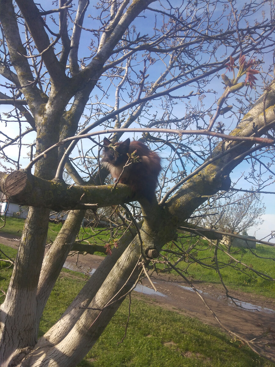 Миасса балдеет под солнцем