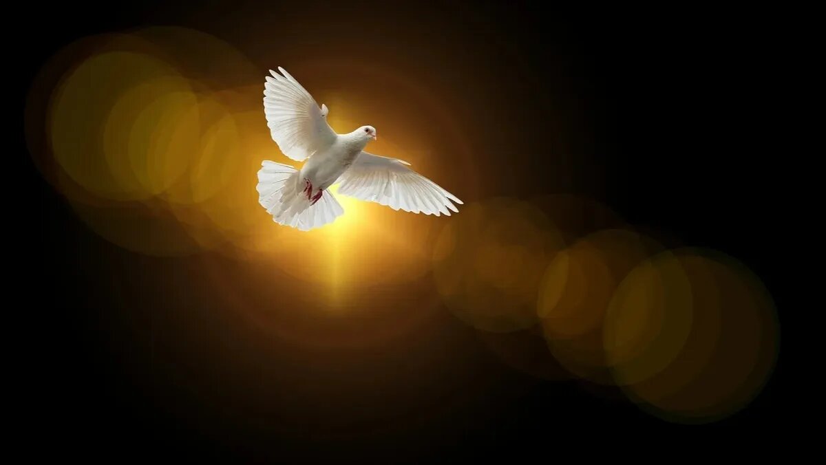 Фото: pixabay.com