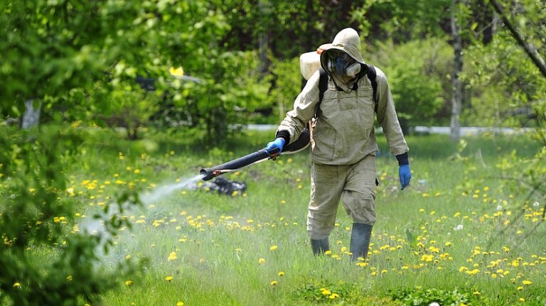    Нижневартовск избавится от мышей за миллион рублей