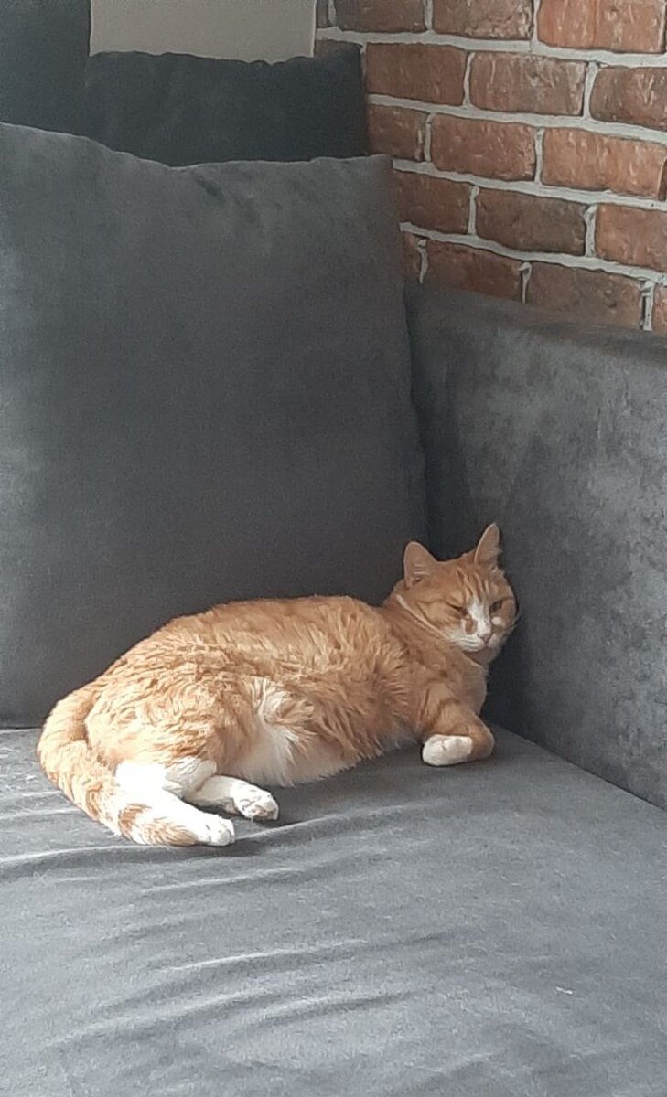 Наелся и спит