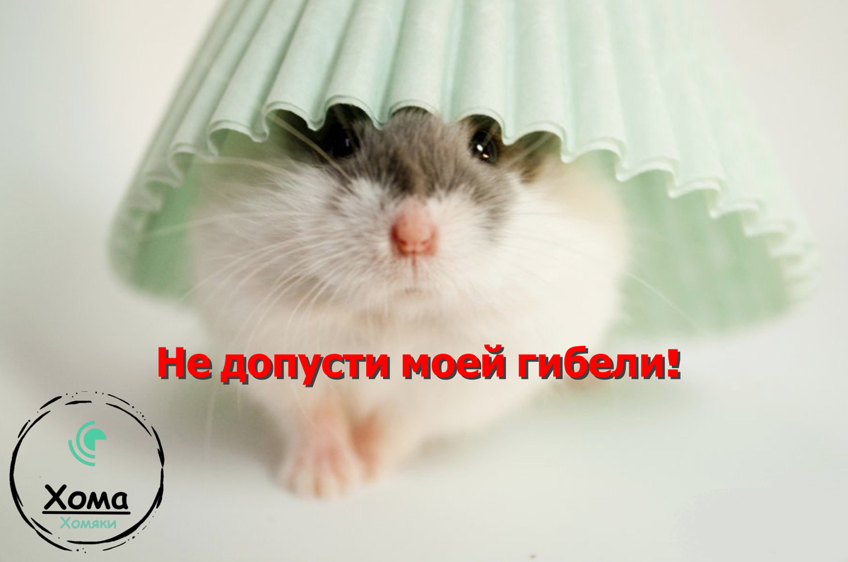 Обложка статьи