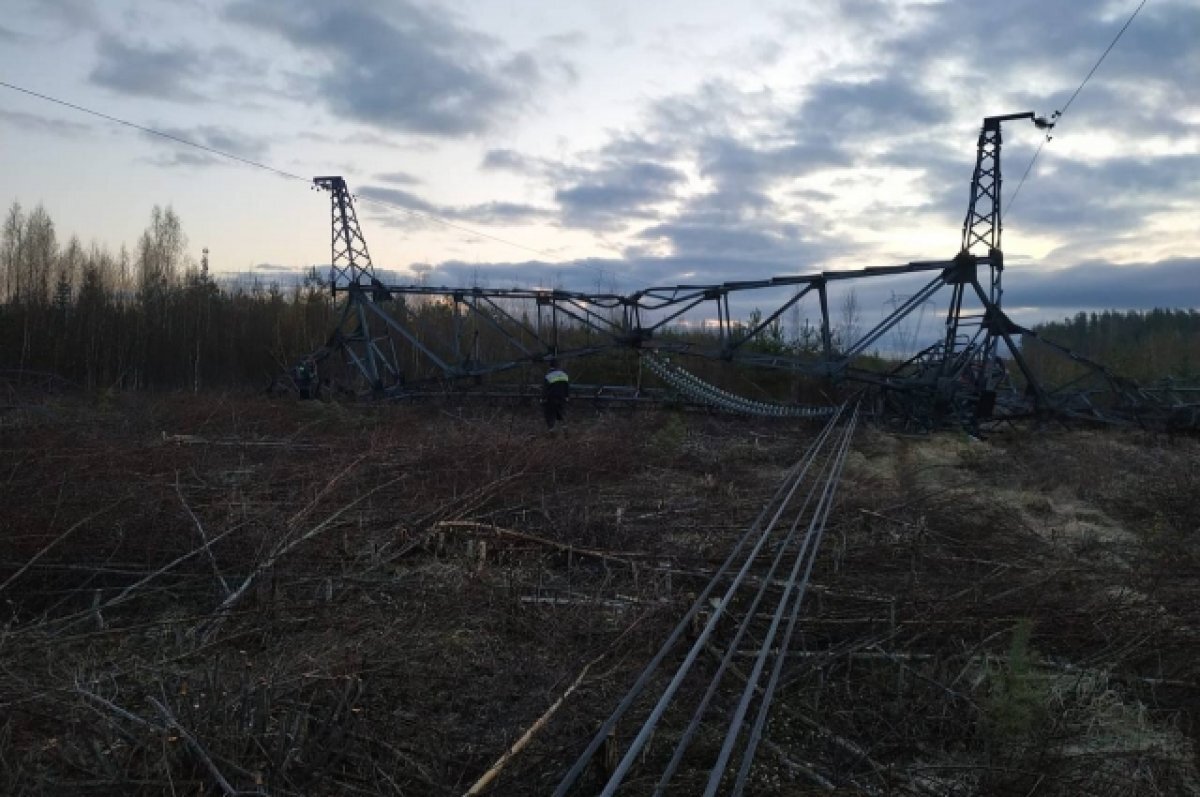    В Ленобласти подорвана опора линии электропередач