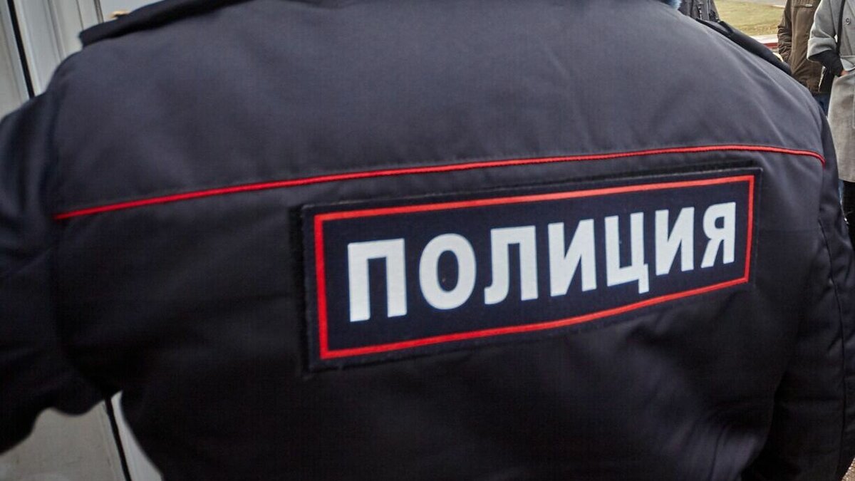 Москвичка обвинила полицейского в избиении (ВИДЕО 18+) | НОВЫЕ ИЗВЕСТИЯ |  Дзен