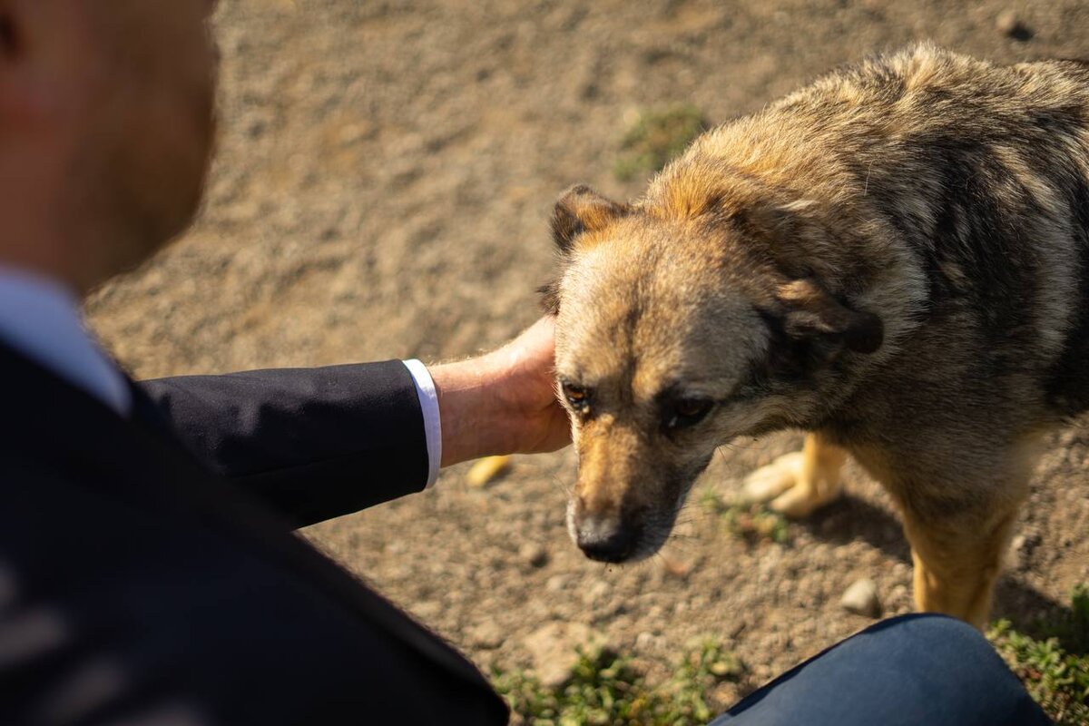 Фото: пресс-служба партии 