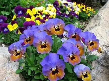 Дело не во мне