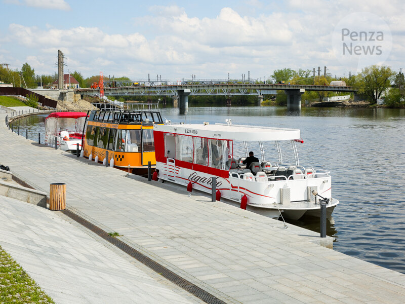    © Фото из архива ИА «PenzaNews»