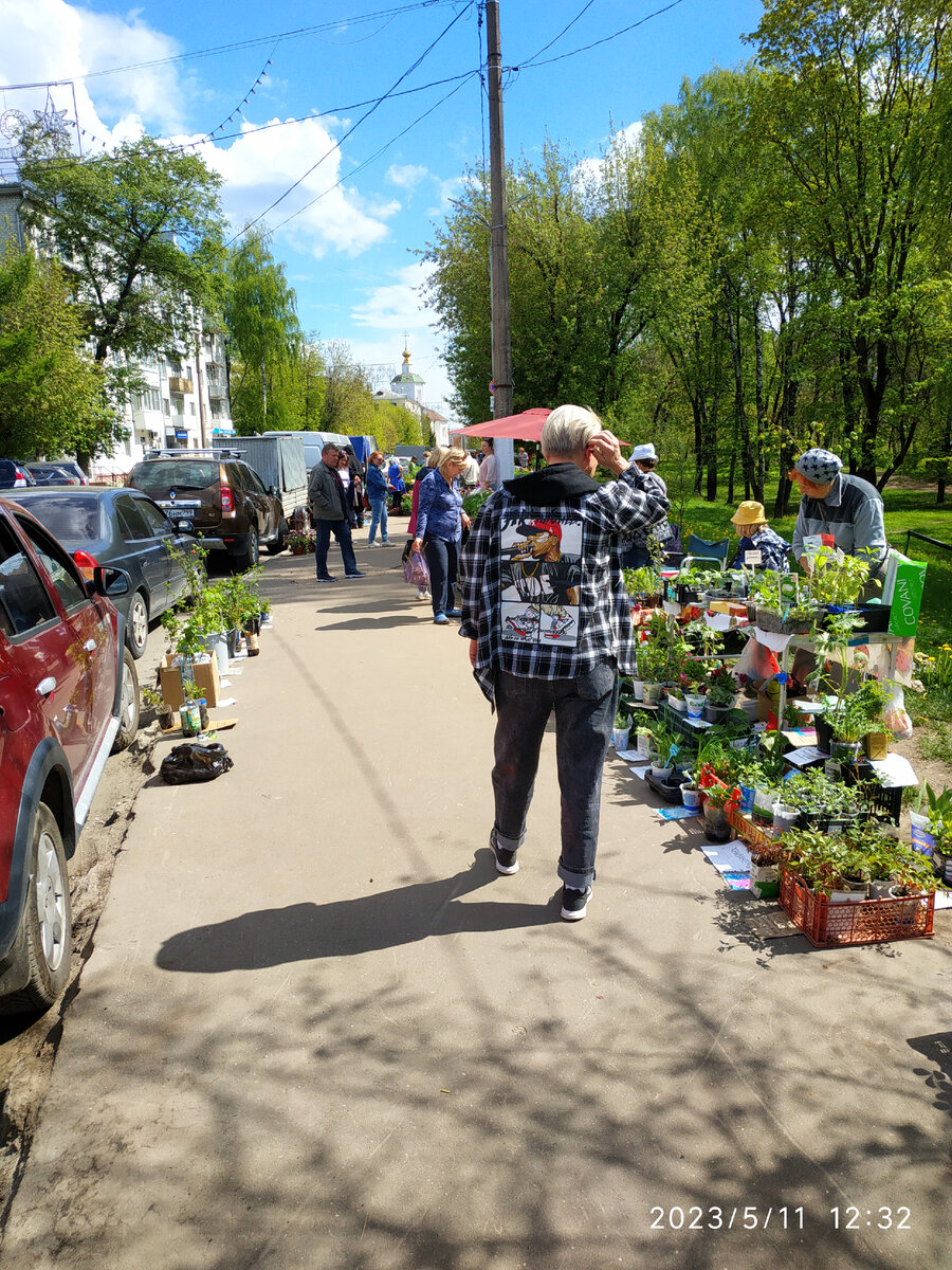 минирынок на Речном. Алёна начала охоту на растюшки))))