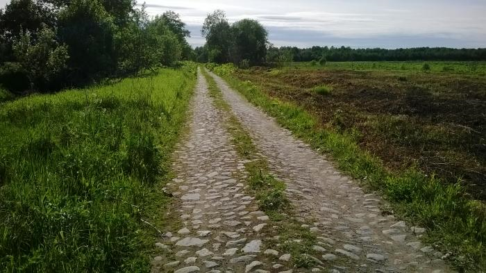 Фото свободно взято в сети Интернет