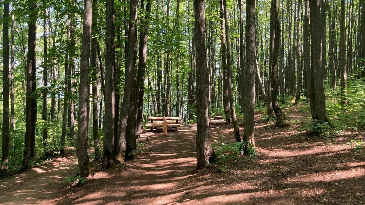     В Татарстане в ряде лесничеств продлили ограничения по пребыванию и въезду на транспорте. Соответствующее постановление подписал премьер-министр республики Алексей Песошин.