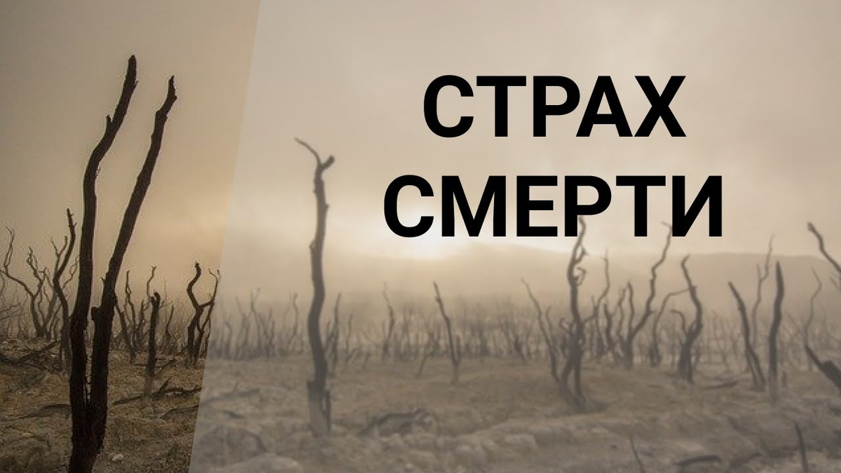 Танатофобия боязнь смерти. Очень боюсь смерти