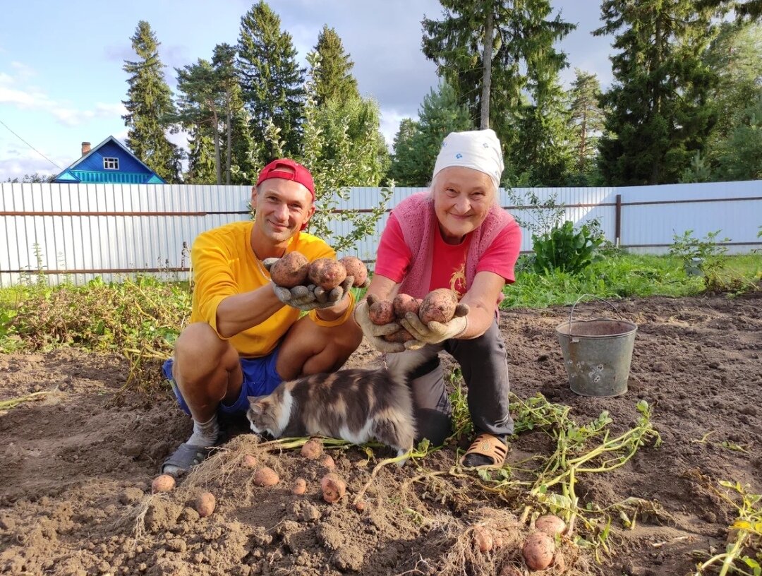 И надеемся на хороший урожай