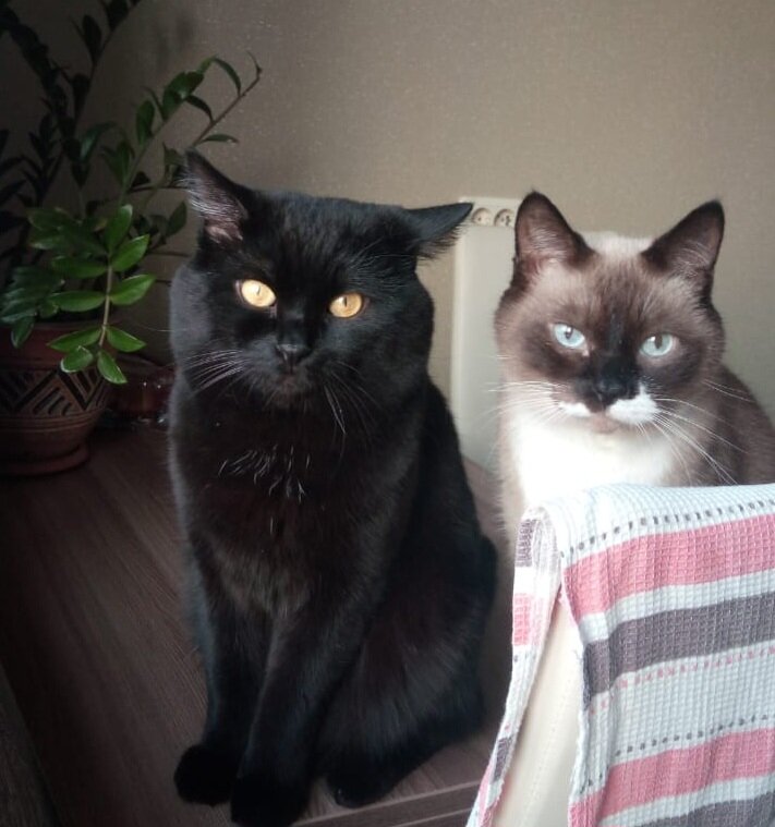 Слева - "агрессор"