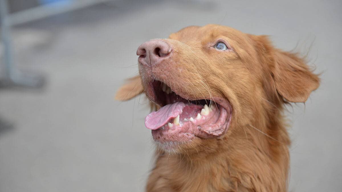    Фото: Наталья Феоктистова / Вечерняя Москва