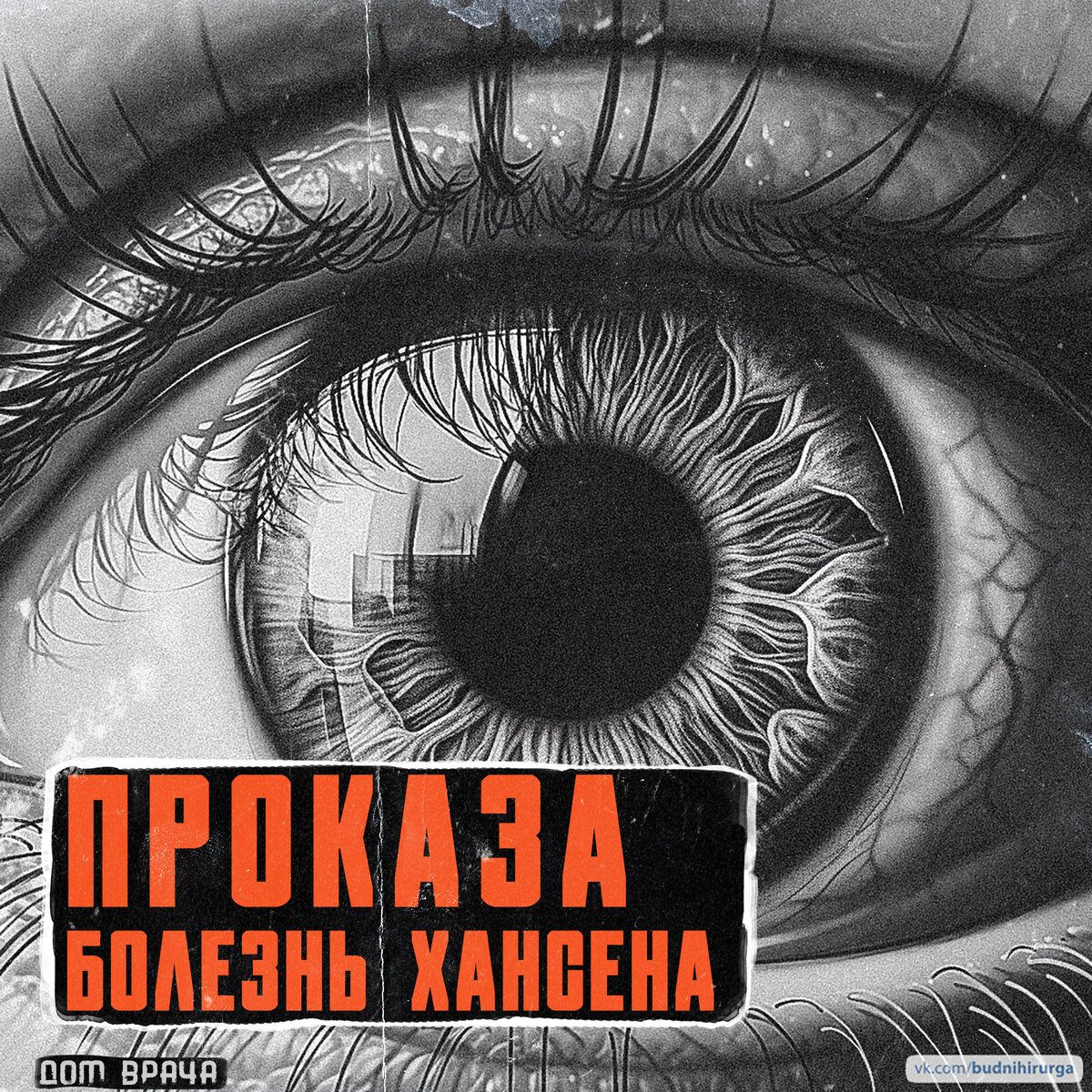 © DOMVRACHA / ДОМ ВРАЧА / BUDNIHIRURGA / EVILICIO 