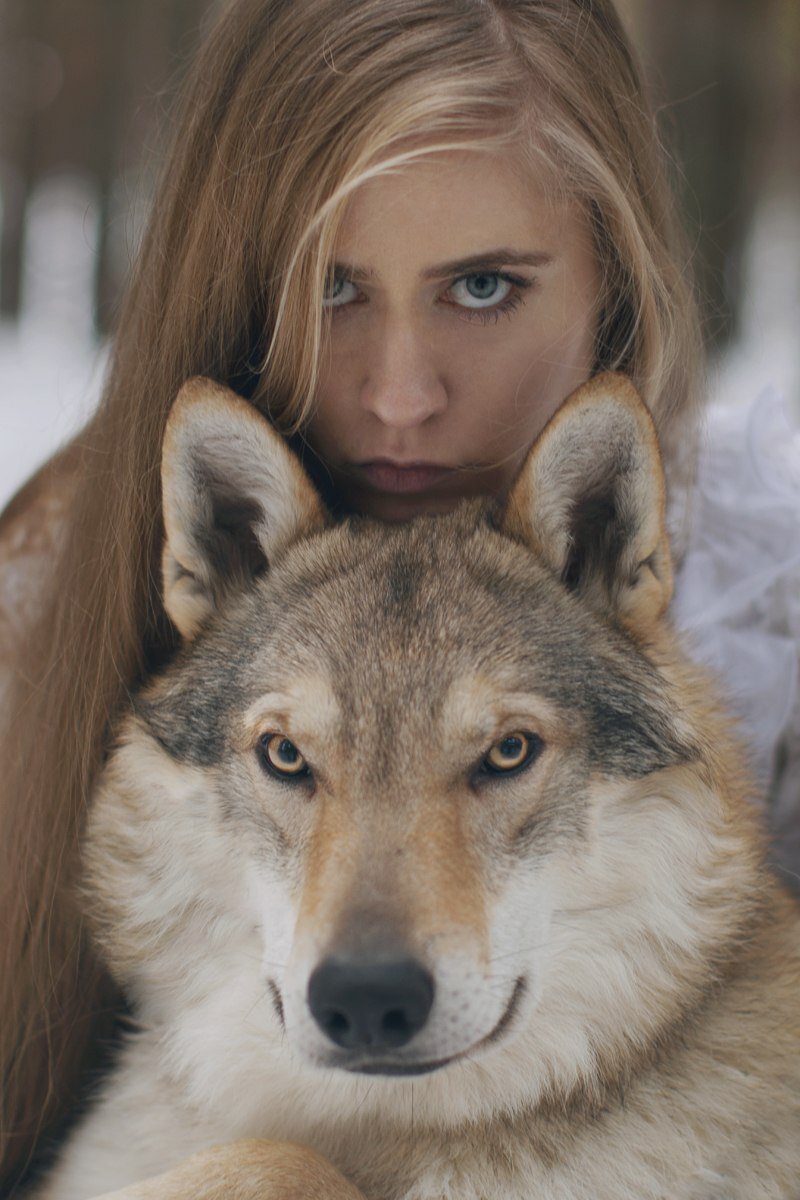 Woman with animals. Волкособ. Katerina Plotnikova. Девушка с волком. Волчица и девушка.