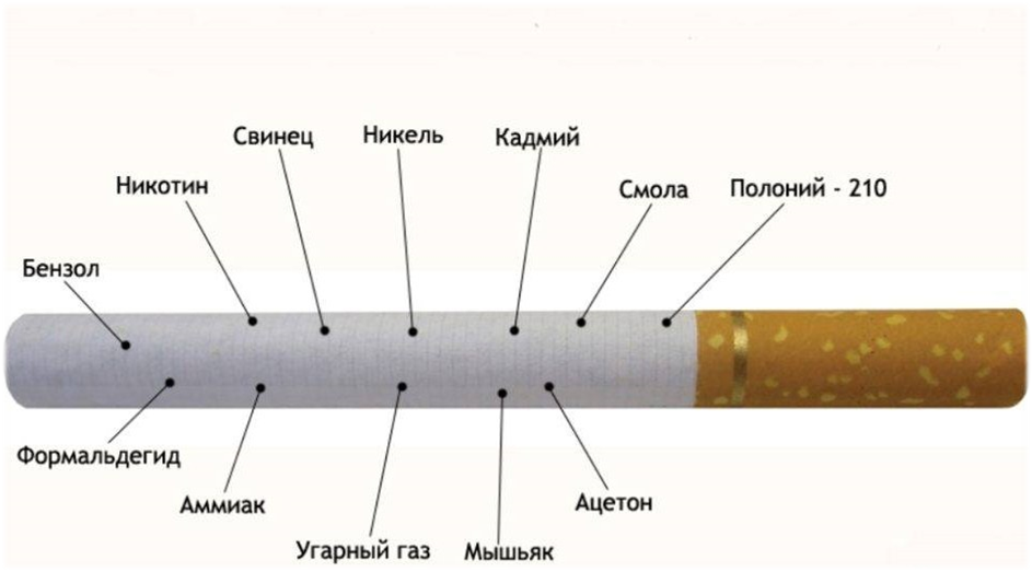 Когда будет проверка на никотин в школах