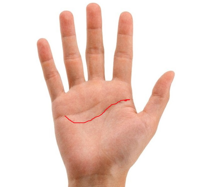 Линия ума убийцы . Моё редактирование шаблона руки из сети. 