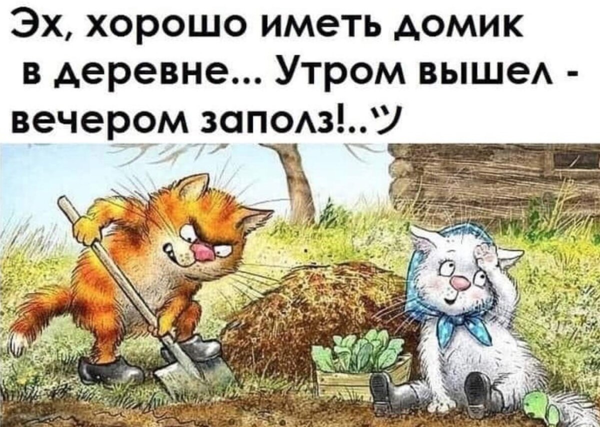 Это примерно про меня.