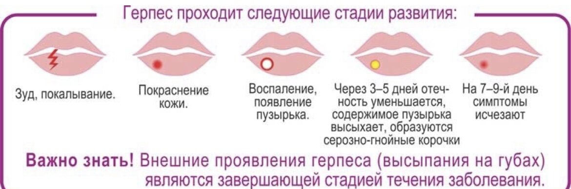 Гербис. Uthvgbc.