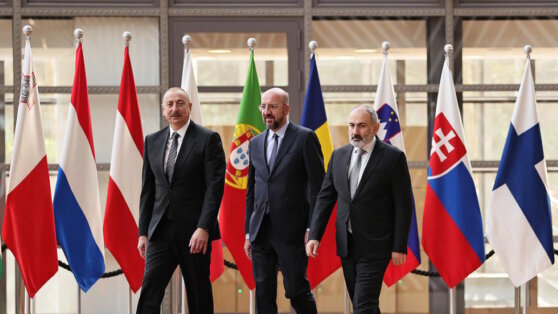    В Армении сообщили, что Пашинян и Алиев вновь встретятся 1 июня в Кишинёве Дарья Смирнова