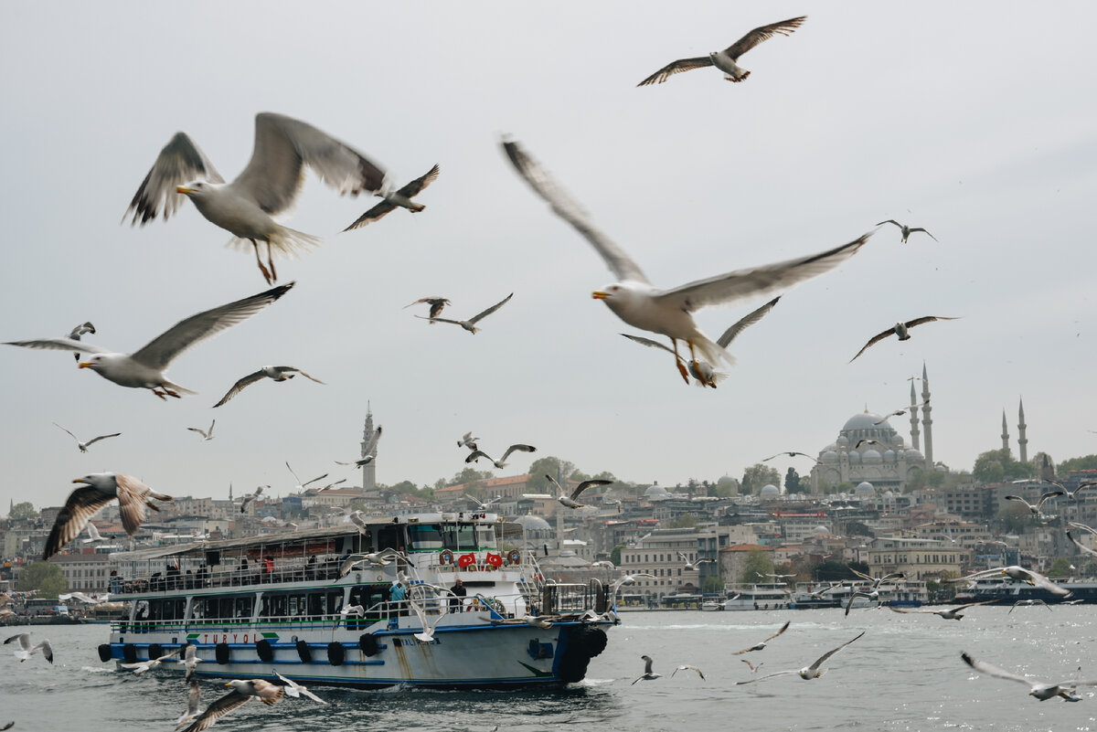 Вид с набережной.